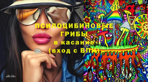 гашик Валуйки