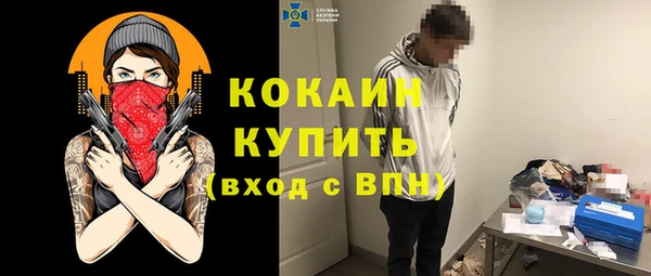 соль ск Няндома