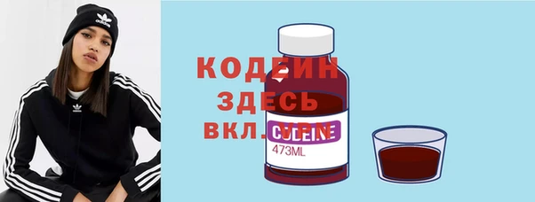 соль ск Няндома
