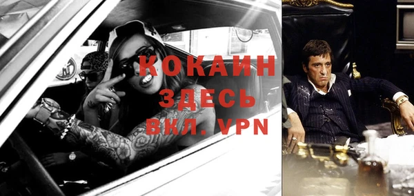 соль ск Няндома