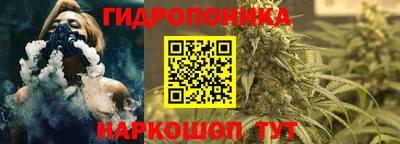 мдпв Гусь-Хрустальный