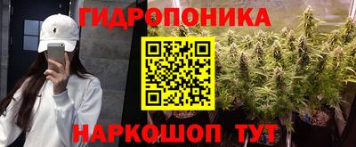 мдпв Гусь-Хрустальный