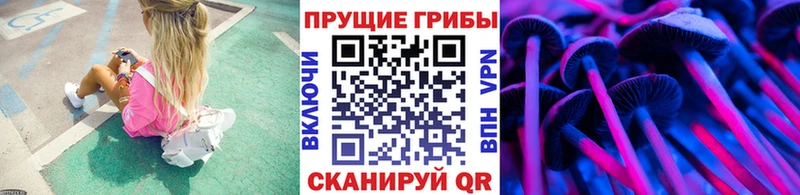 Галлюциногенные грибы GOLDEN TEACHER Норильск